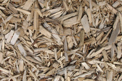 biomass boilers Woodcott